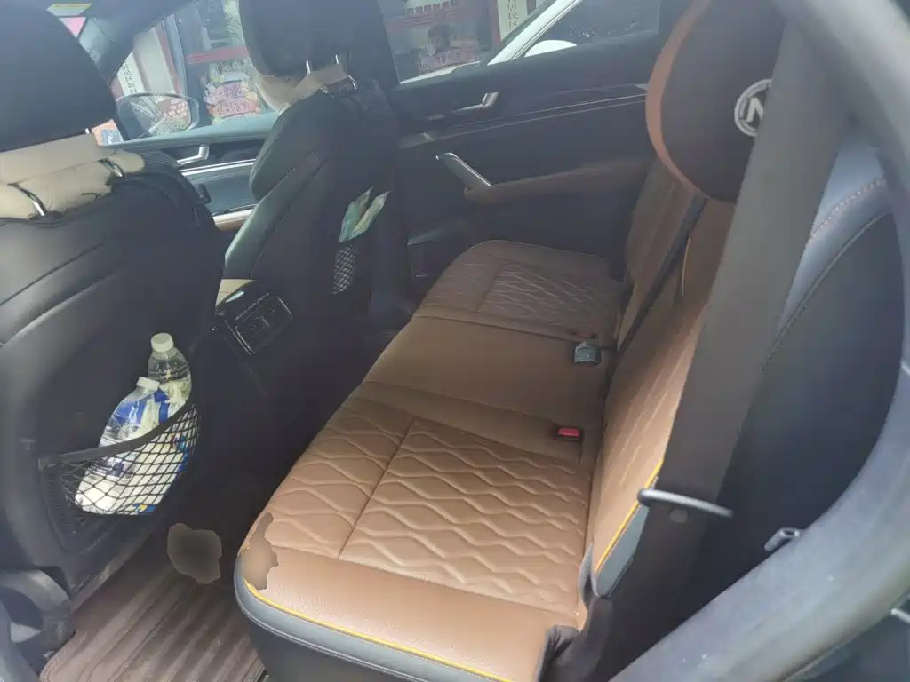 BYD Tang New Energy — миниатюра 15