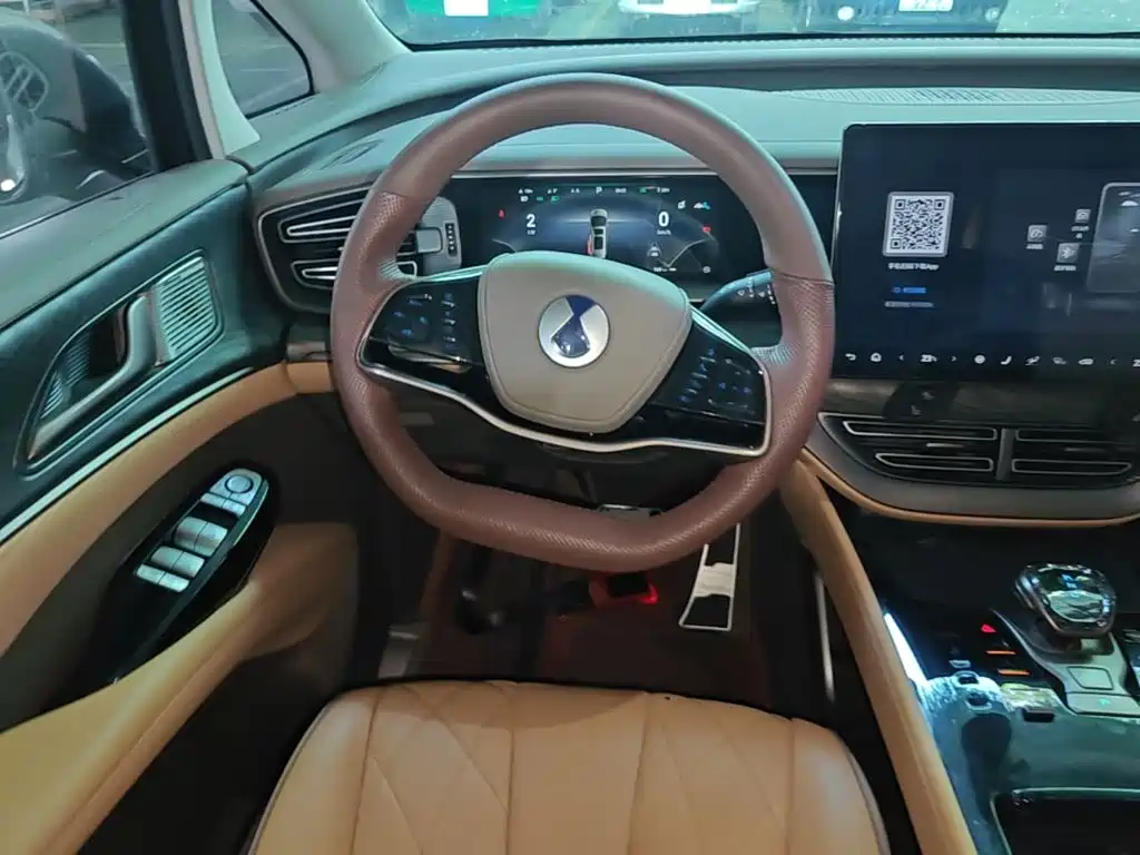 Denza Denza D9 — миниатюра 11