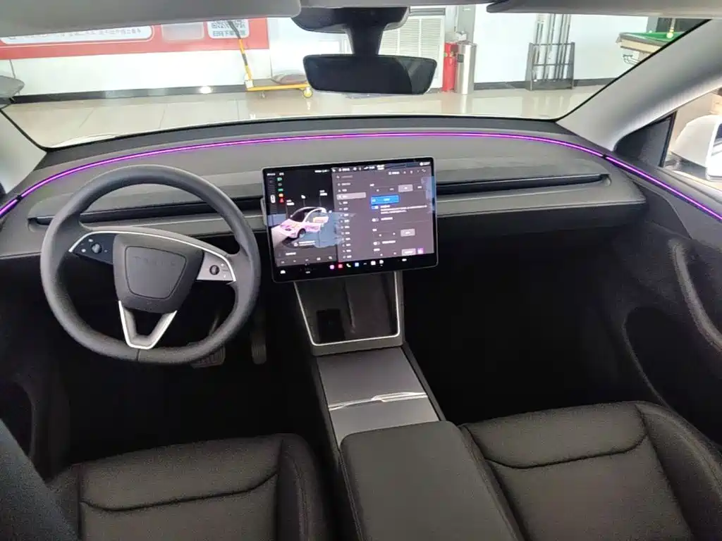 Tesla Model Y — миниатюра 10