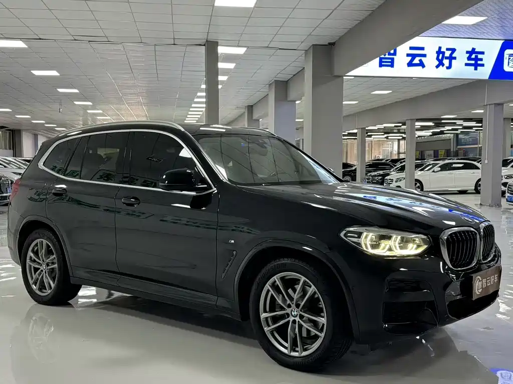 BMW X3 — миниатюра 3