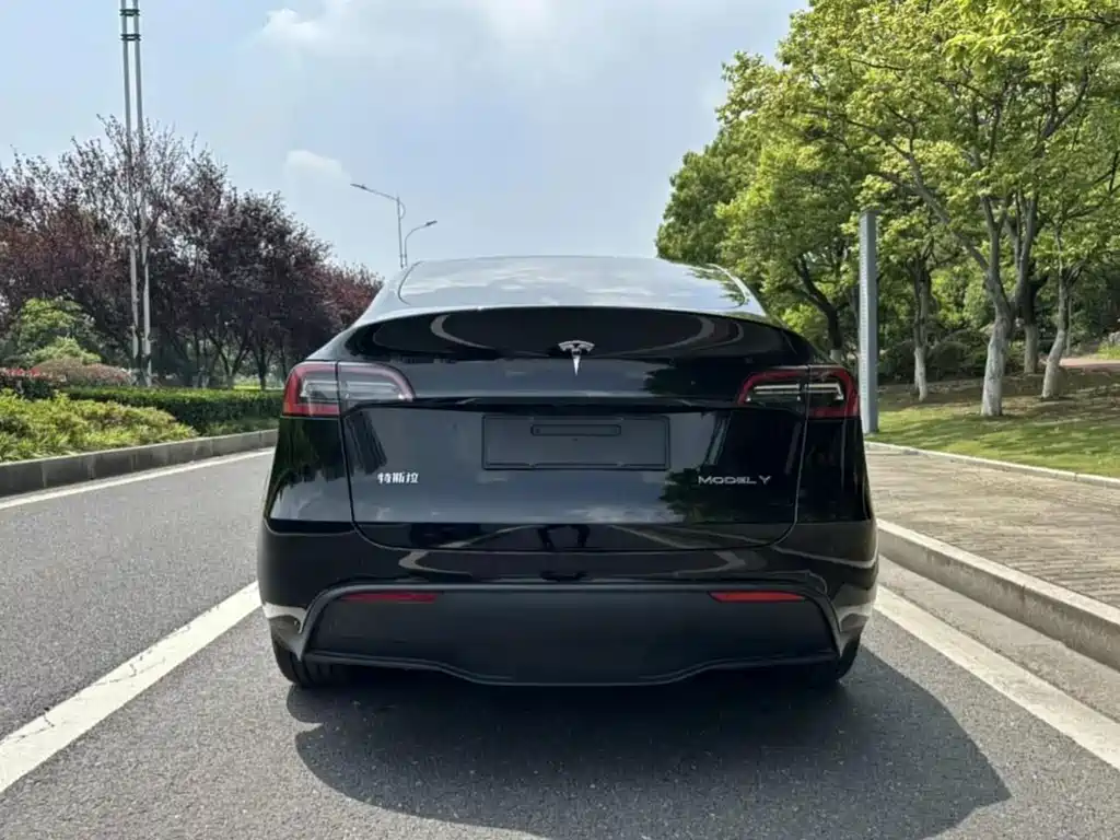 Tesla Model Y — миниатюра 5