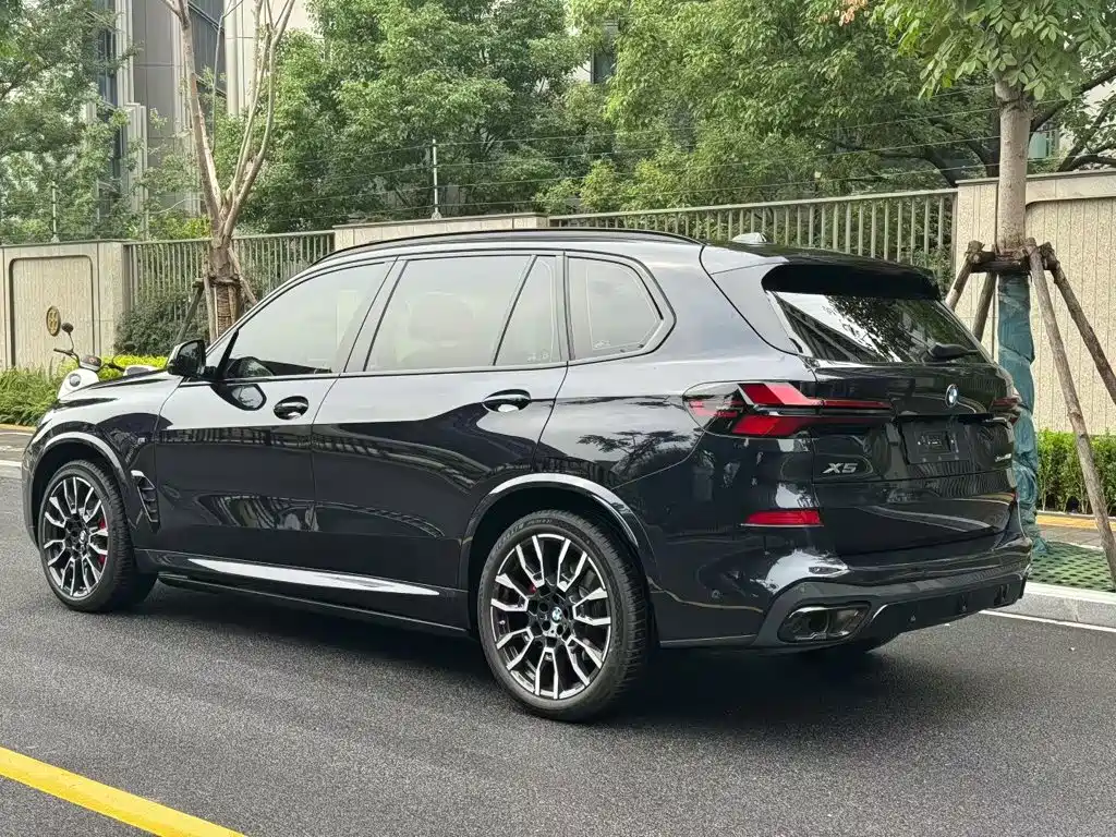 BMW X5 — миниатюра 9