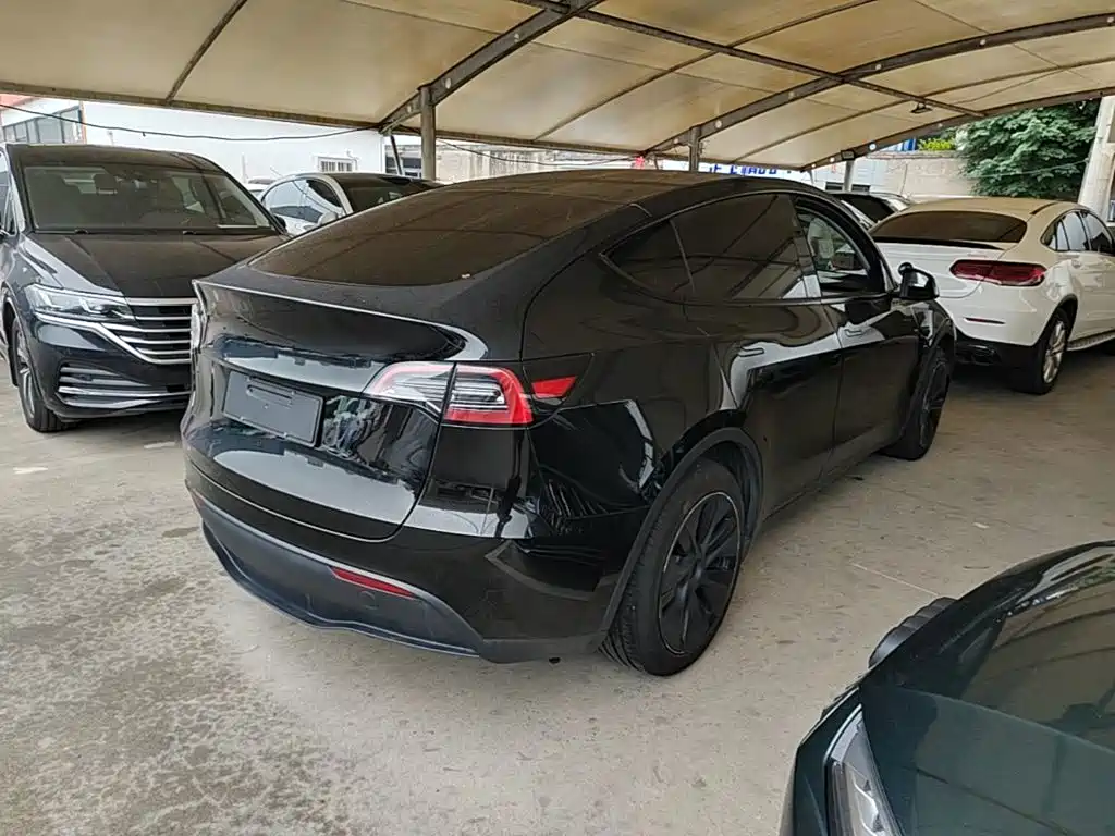 Tesla Model Y — миниатюра 7