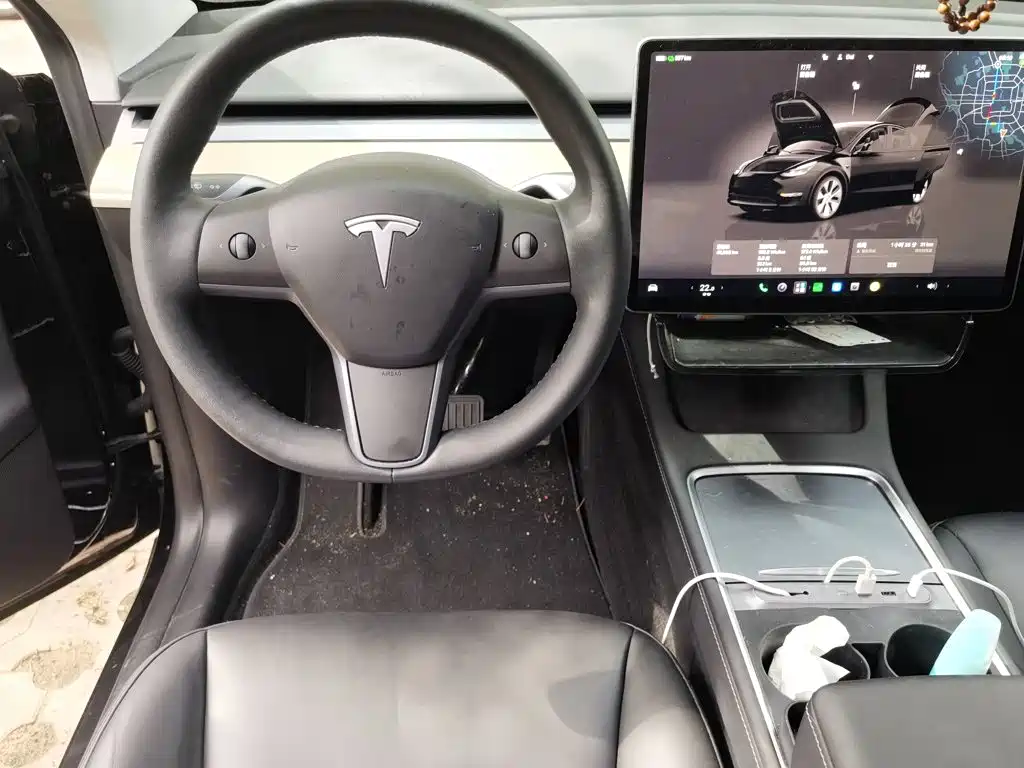 Tesla Model Y — миниатюра 6