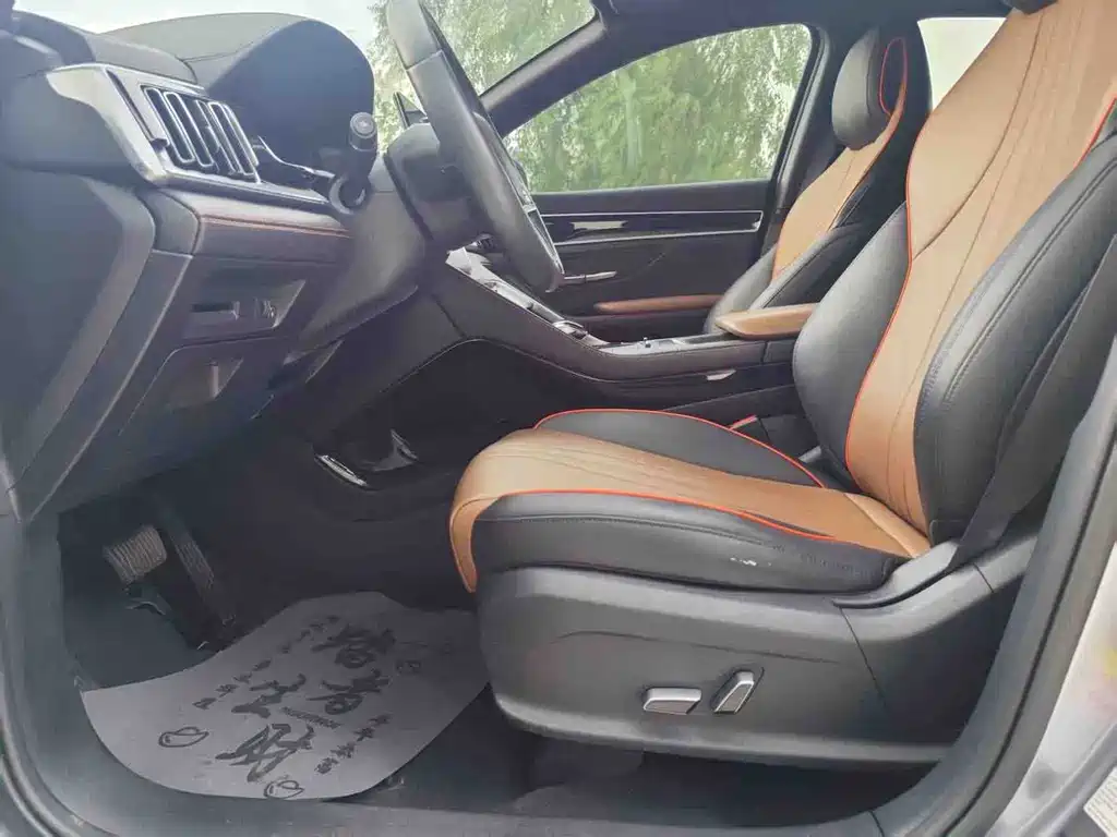BYD PLUS — миниатюра 7