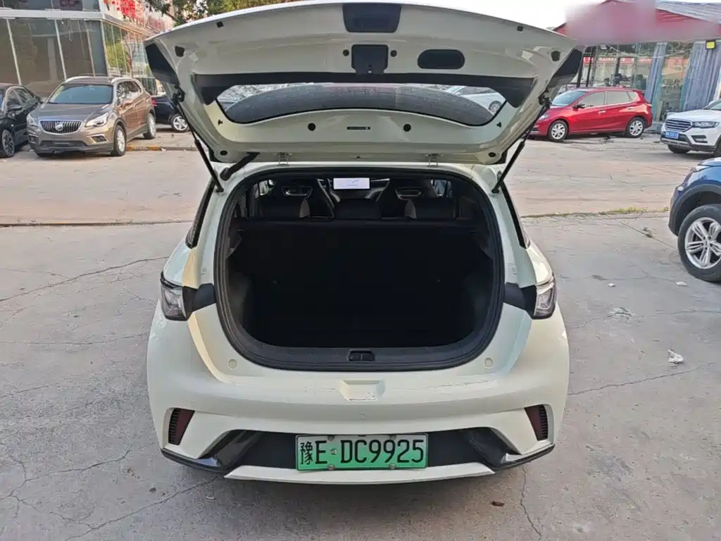 BYD Dolphin — миниатюра 19