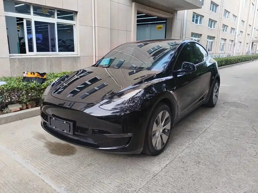 Tesla Model Y — миниатюра 2