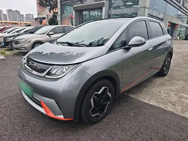 2022 BYD Dolphin