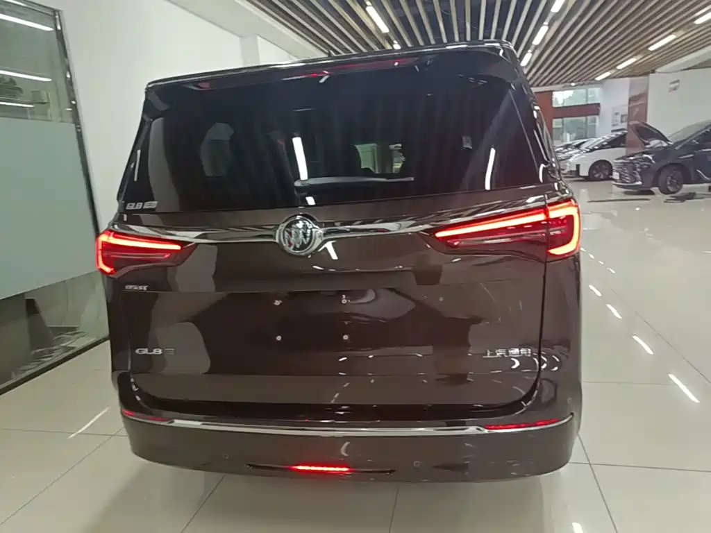 Buick GL8 — миниатюра 6