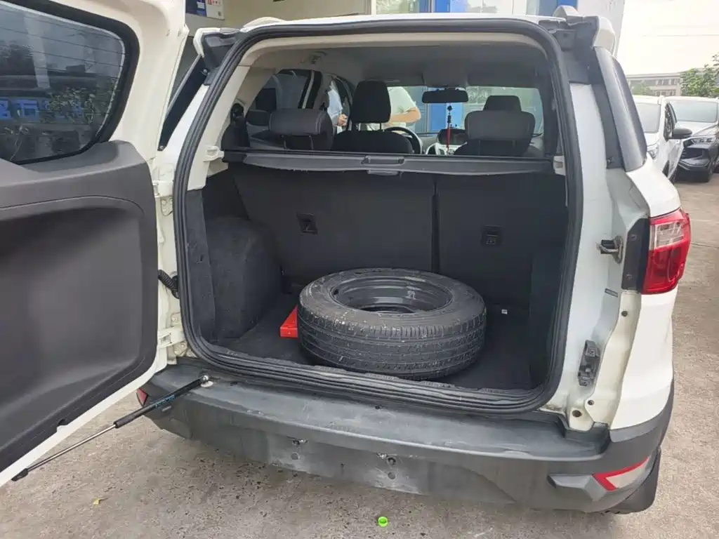 Ford Ecosport — миниатюра 19