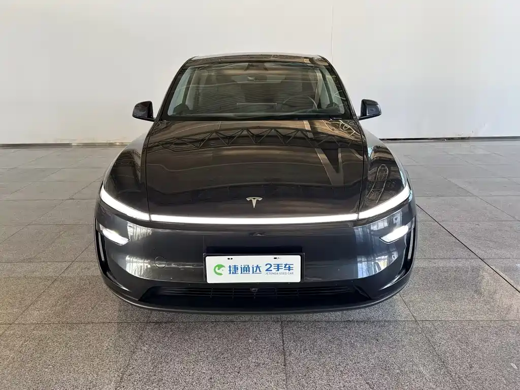 Tesla Model Y — миниатюра 27