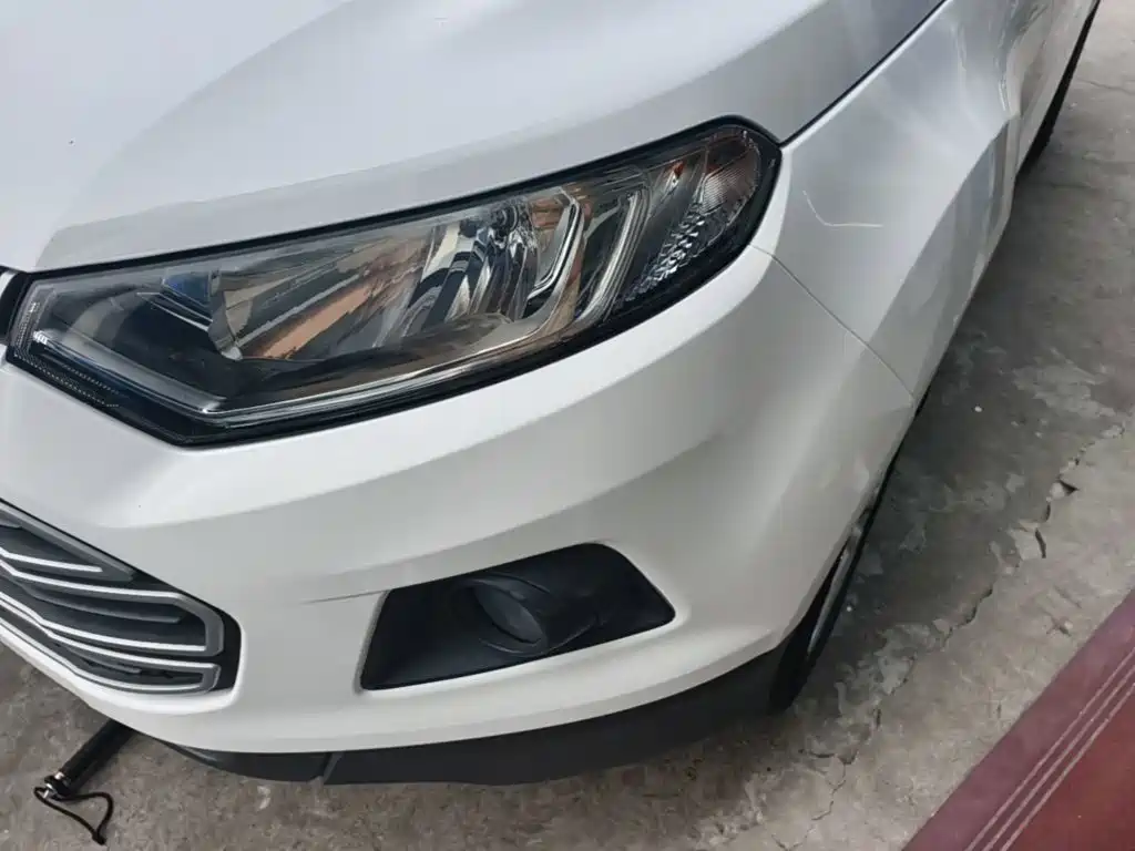 Ford Ecosport — миниатюра 24