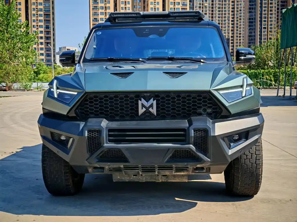 Mengshi Mengshi 917 — миниатюра 2