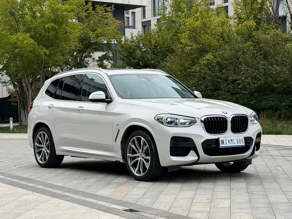 BMW X3 — миниатюра 3