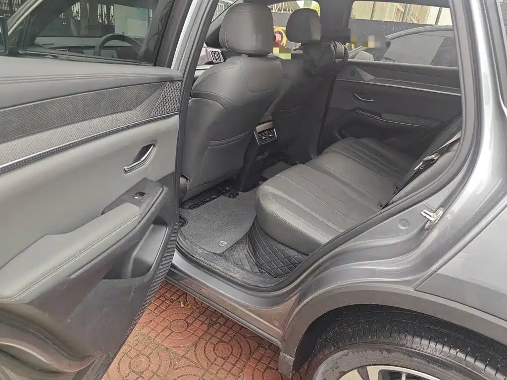 BYD Pro New Energy — миниатюра 13