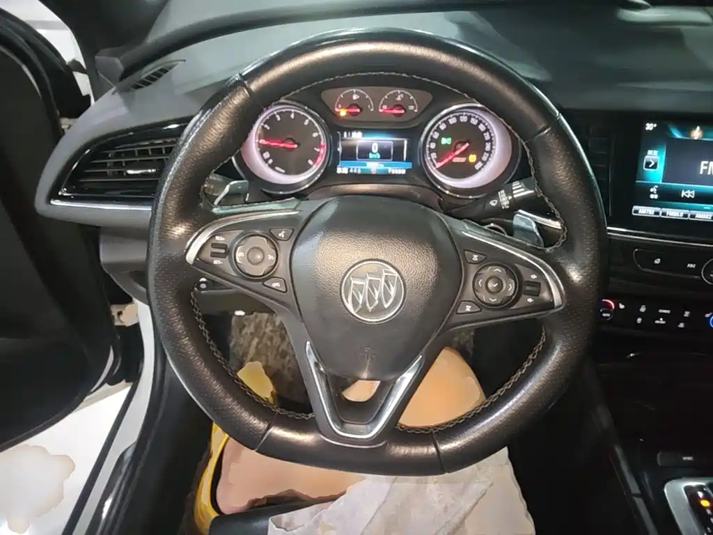 Buick Regal — миниатюра 11