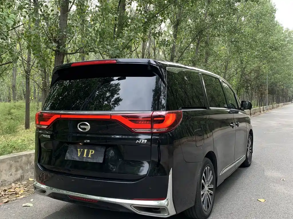 GAC Motor Trumpchi M8 — миниатюра 12