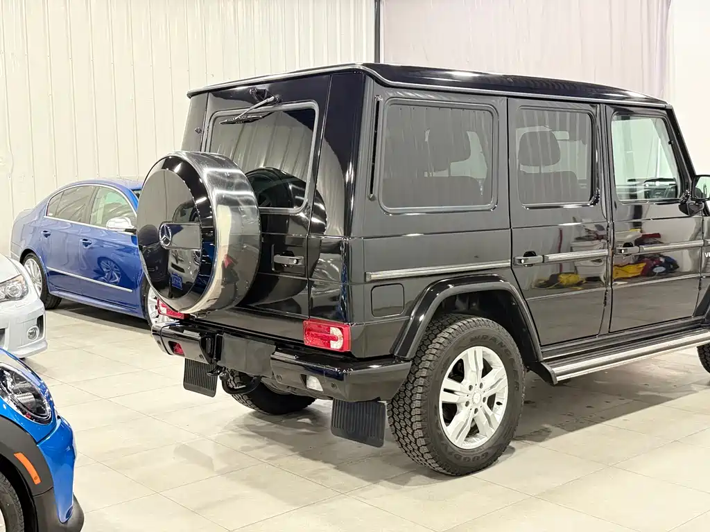 Mercedes-Benz G-Class G 2010 G 500