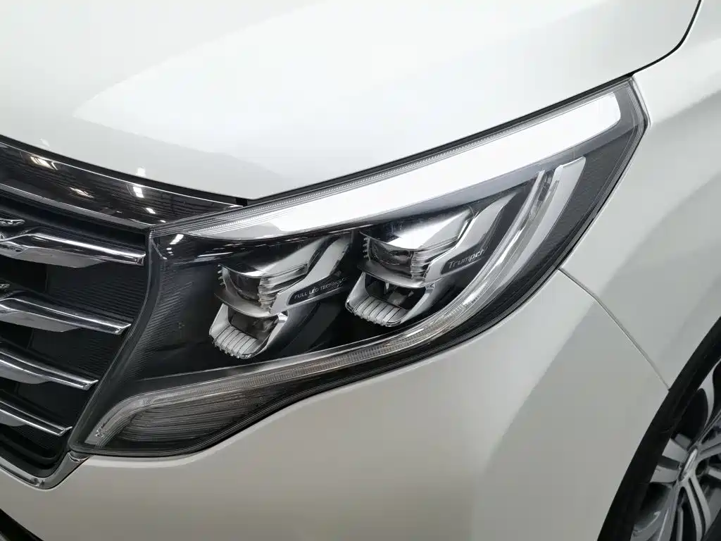 GAC Motor Trumpchi M8 — миниатюра 7