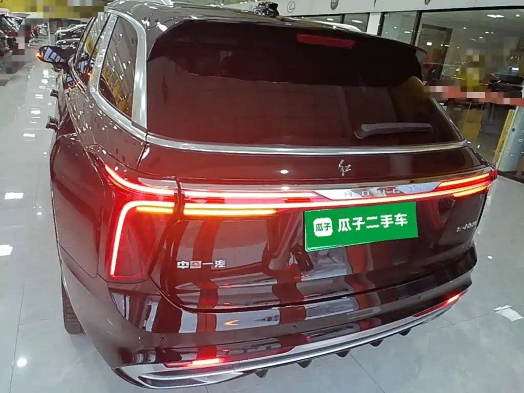Hongqi Hongqi E-HS9 — миниатюра 6