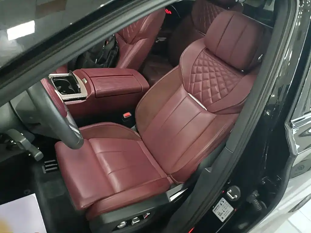 Hongqi Hongqi E-HS9 — миниатюра 15