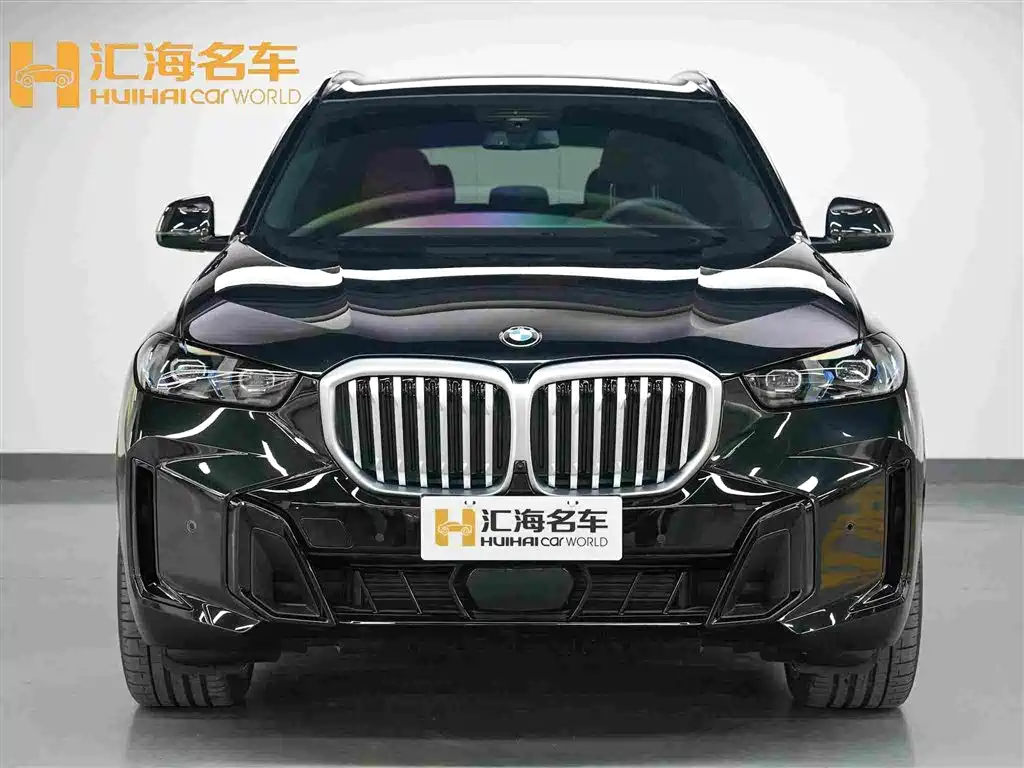 BMW X5 — миниатюра 2