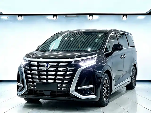 2023 Denza D9