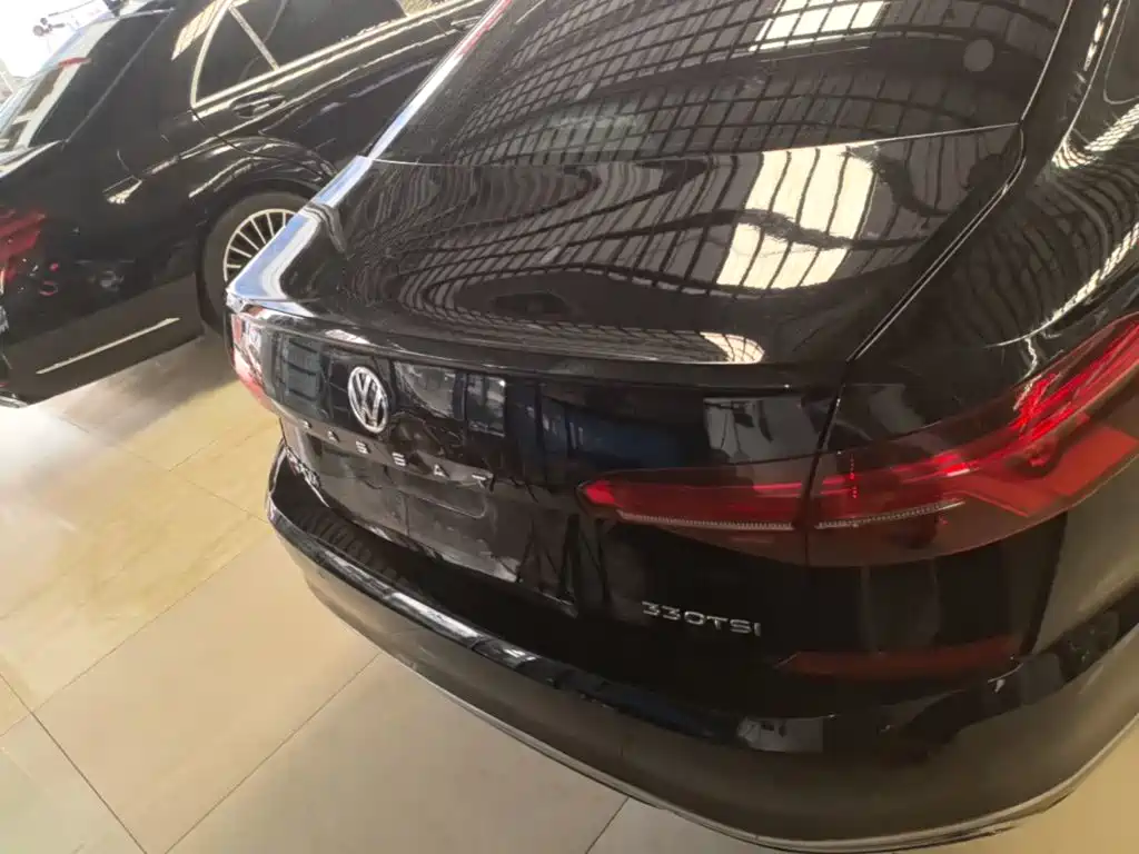 Volkswagen Passat — миниатюра 6