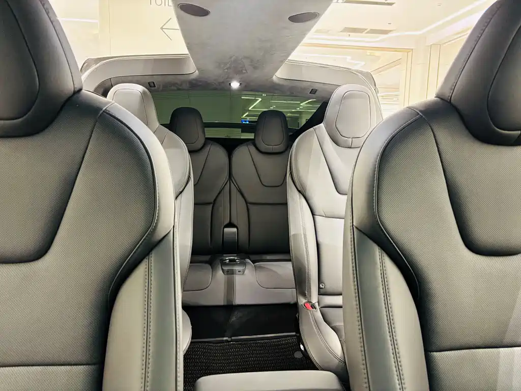 Tesla Model X — миниатюра 21