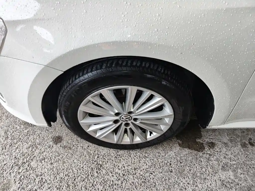 Volkswagen Gran Lavida — миниатюра 23