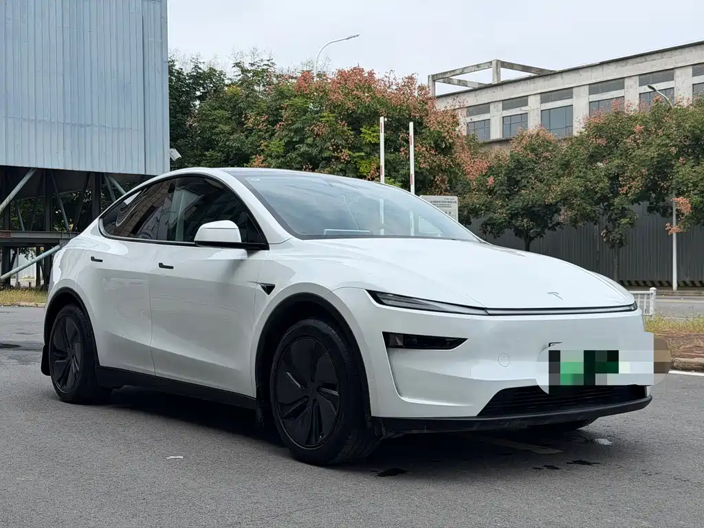 Tesla Model Y — миниатюра 3