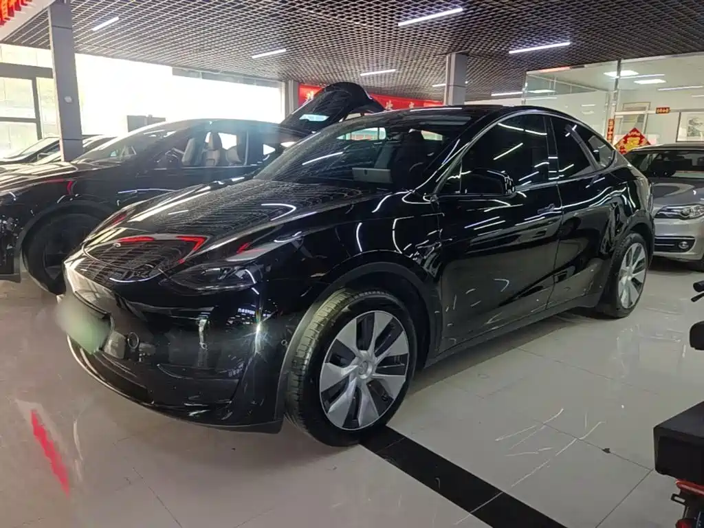 Tesla Model Y — миниатюра 2