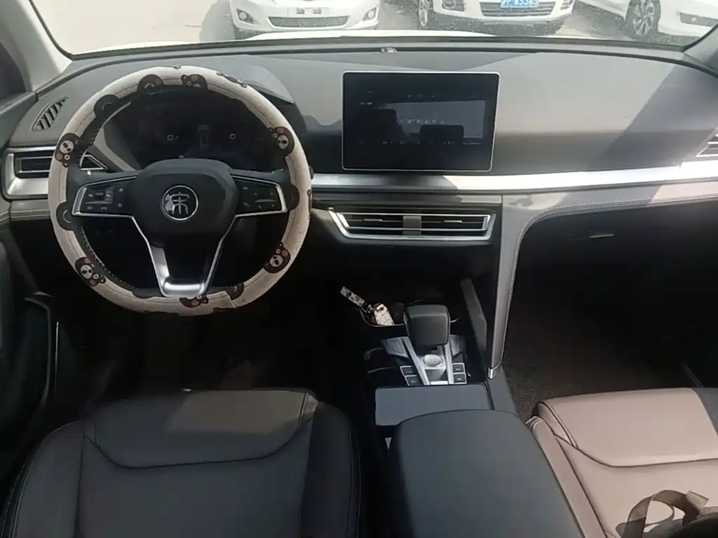 BYD Pro — миниатюра 10