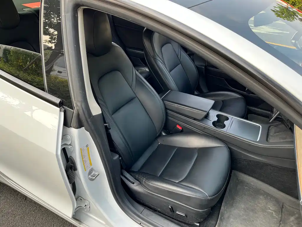 Tesla Model 3 — миниатюра 19