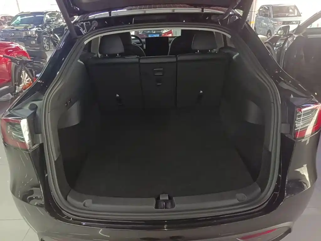 Tesla Model Y — миниатюра 19