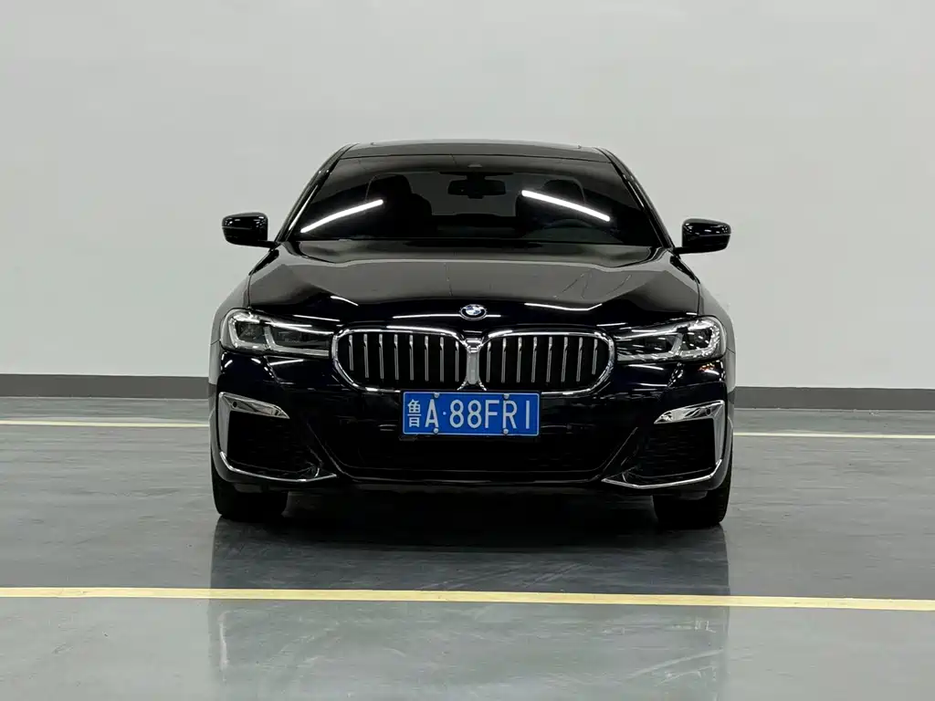 BMW 5 Series — миниатюра 2