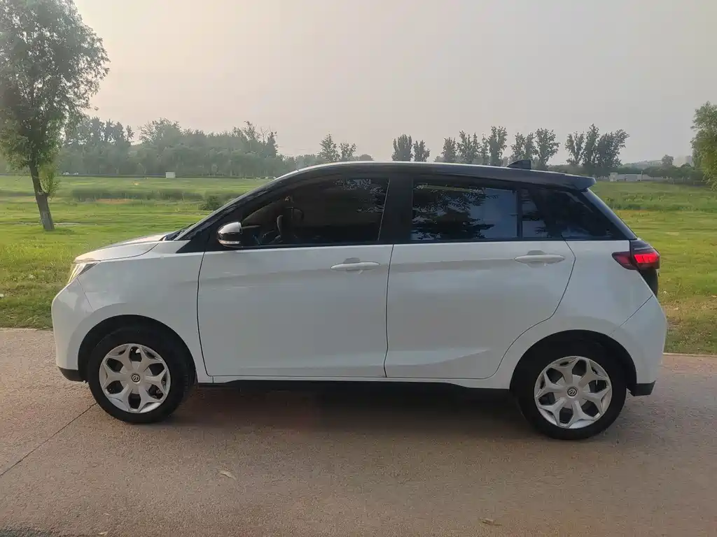 Dongfeng EV YOUNG Guang Xiaoxin — миниатюра 22