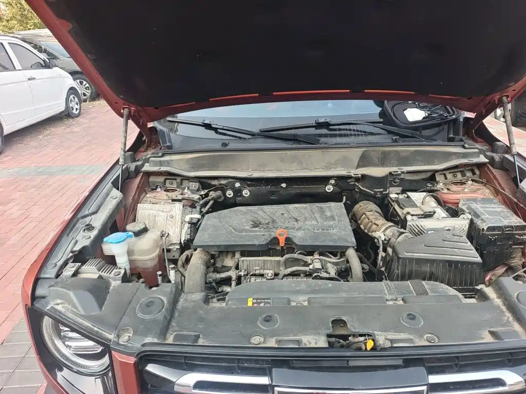 Haval Big Dog — миниатюра 20