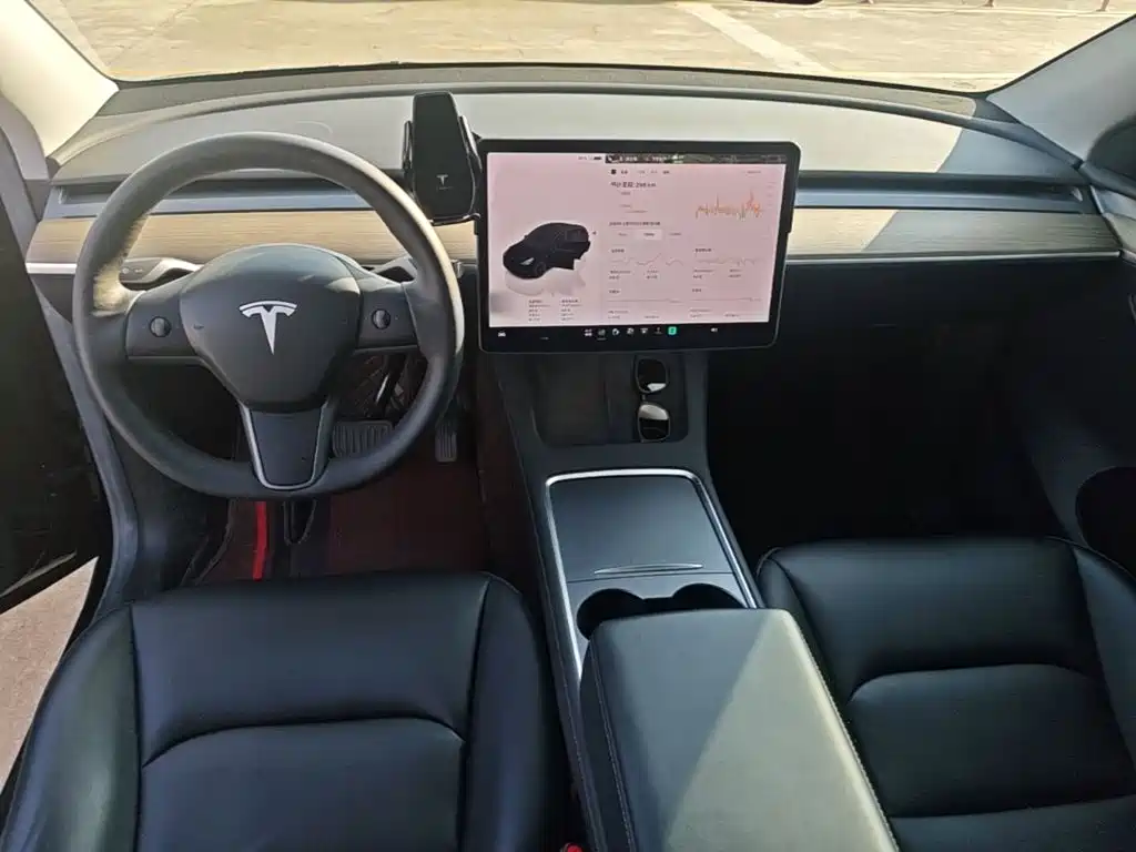 Tesla Model Y — миниатюра 10