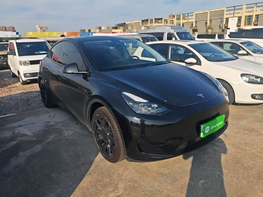 Tesla Model Y — миниатюра 4