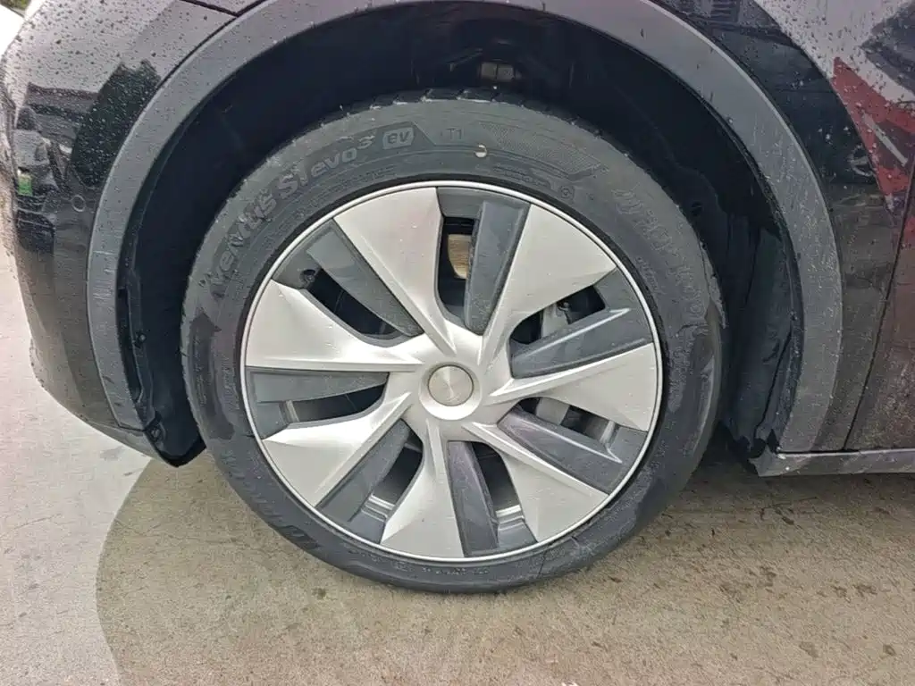Tesla Model Y — миниатюра 23