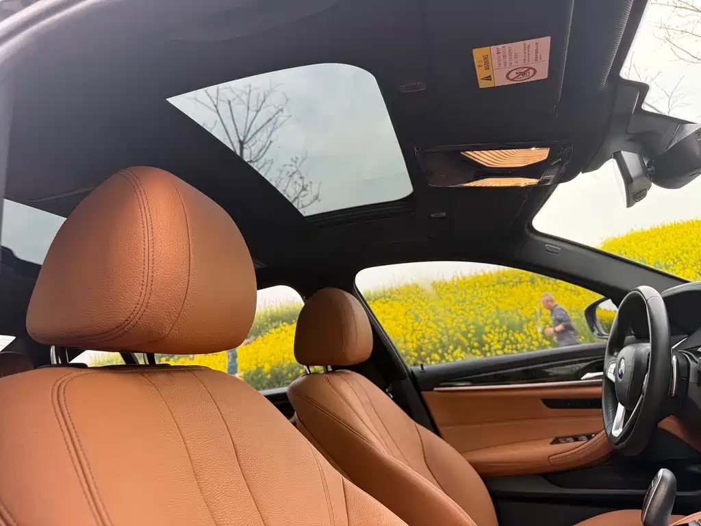 BMW 5 Series 5 2018 530Li Lead M Sport