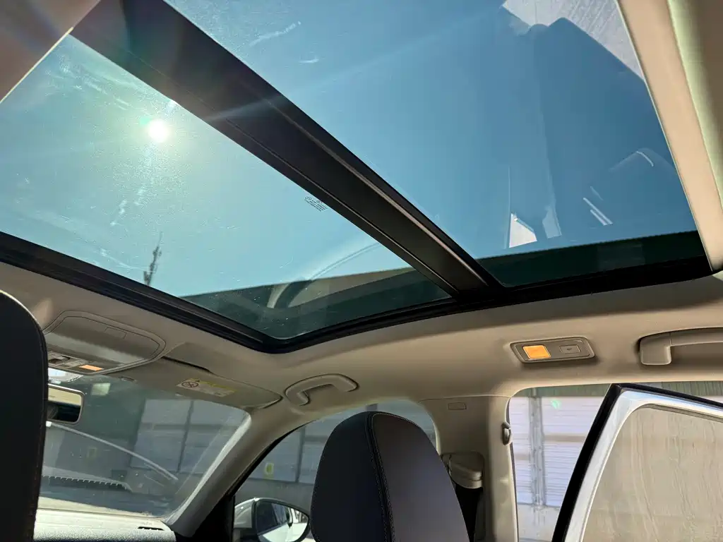 VOLKSWAGEN C TREK WEI COLLAR