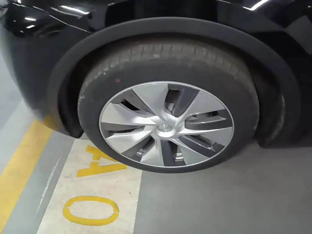 Tesla Model Y — миниатюра 23