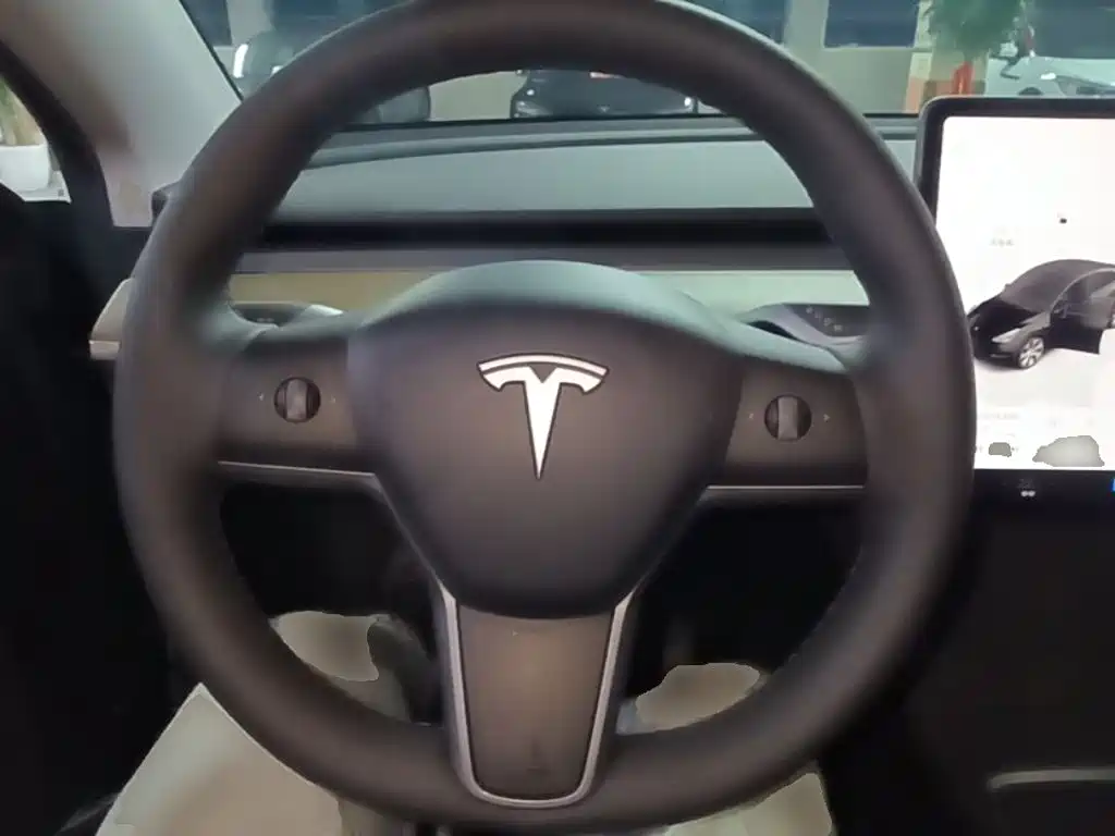 Tesla Model Y — миниатюра 11