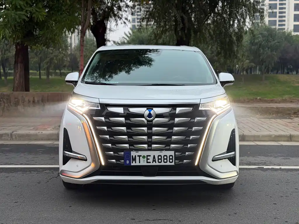 Denza Denza D9 — миниатюра 2