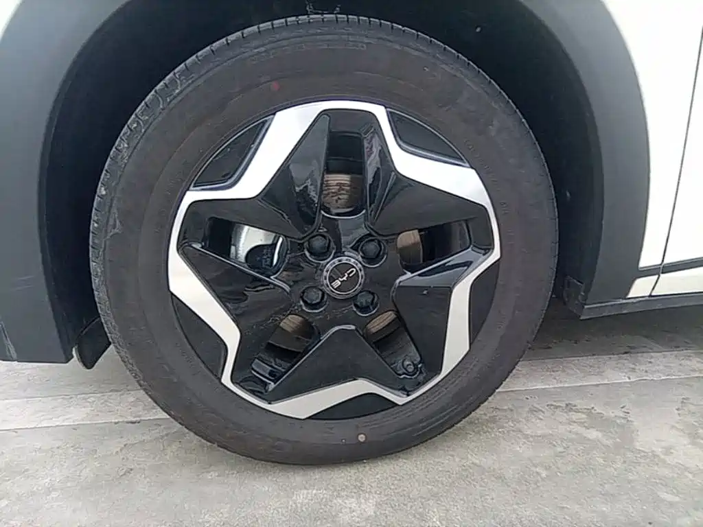 BYD Dolphin — миниатюра 23