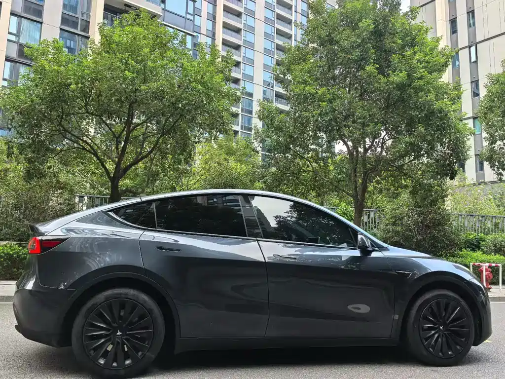 Tesla Model Y — миниатюра 7