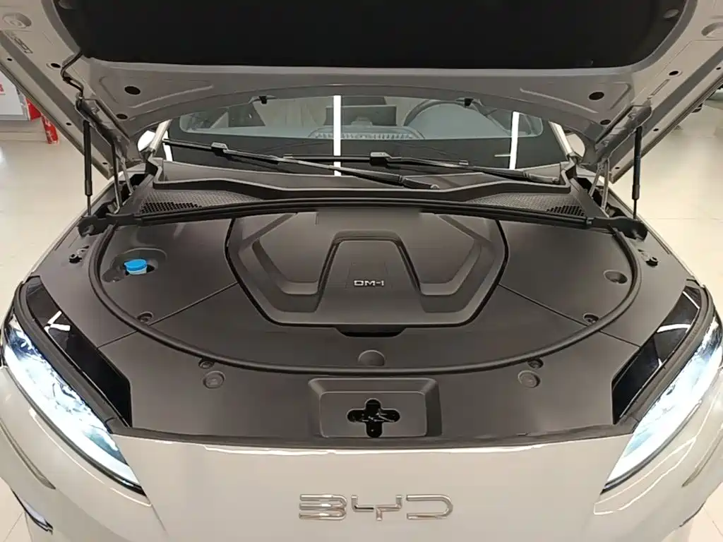 BYD PLUS New Energy — миниатюра 20