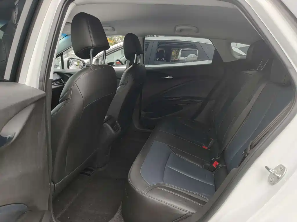 BUICK SLIGHTLY BLUE 6